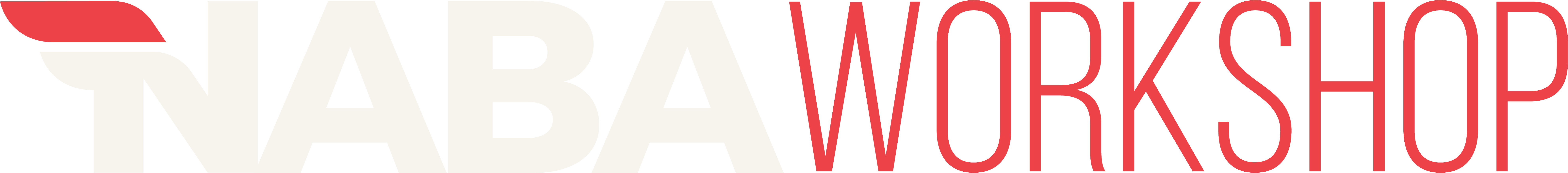 NABA WORKSHOP